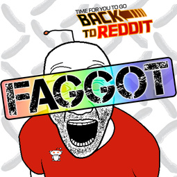 thumbnail of reddit_faggot.jpeg