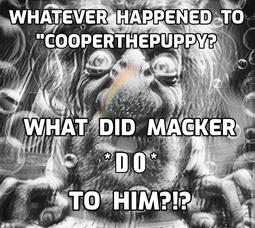 thumbnail of What Happened to Cooper.jpg