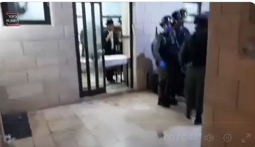 thumbnail of 2023-10-11_Israel police raid Torah Jew synagogue.mp4