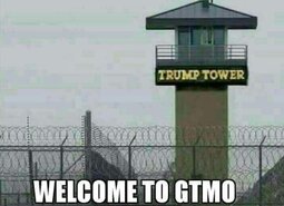thumbnail of trump tower.jpg