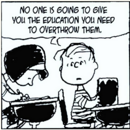 thumbnail of charlie brown wisdom.PNG