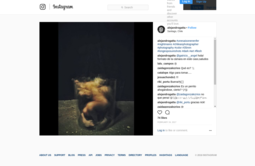 thumbnail of Alejandro_Gatta_on_Instagram_“unesaisonenenfer_nightmares_chileanphotographer_photography_color_35mm_longexposureshots_dark_art_flesh”_-_2018-05-02_13.39.30.png
