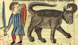 thumbnail of Bonnacon.jpg