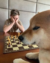 thumbnail of chess.jpeg