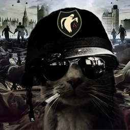 thumbnail of ghost cat soldier.jpg