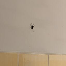 thumbnail of IMG_0117.jpg