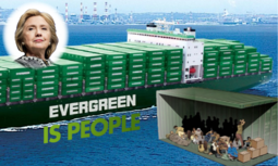 thumbnail of evergreen is people 3.png