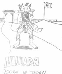 thumbnail of Ninjara.gif