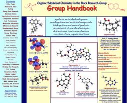 thumbnail of Black Group Handbook.jpg