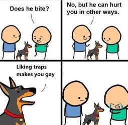 thumbnail of traps are gay dog.jpg