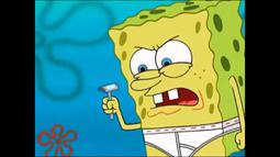 thumbnail of sponge.jpeg