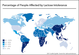 thumbnail of lactose-intolerance.jpg