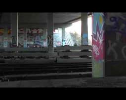 thumbnail of 769325271613.mp4
