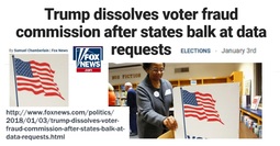 thumbnail of Fox Voter.jpg