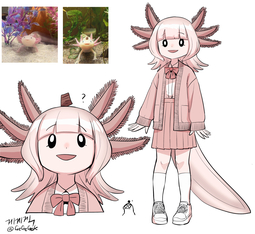 thumbnail of Axolotl.jpeg