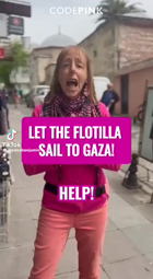 thumbnail of Flotilla_Gaza_GSNS.MP4