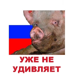 thumbnail of Уже не удивляет.jpg