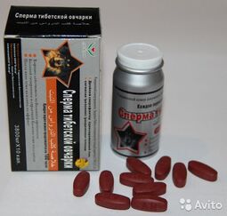 thumbnail of таблетки сперма тибетской овчарки.jpg