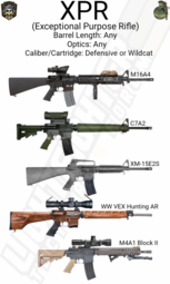 thumbnail of XPR-922x1536.png