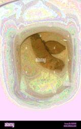 thumbnail of K2JhCDYMhyNtxQ2MM.jpg