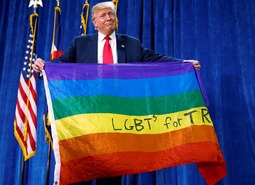 thumbnail of lgbtrump.jpg