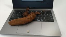 thumbnail of poop laptop.jpg