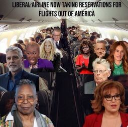 thumbnail of liberal airlines_meme.JPG