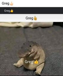thumbnail of Greg 👍.jpg