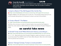 thumbnail of is Trump racist msm test.png