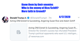 thumbnail of Gernell vs rice schiff Jr twt 041720202.png