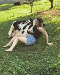 thumbnail of cow.mp4