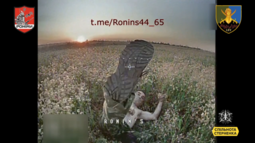 thumbnail of videoframe_20834.png