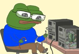 thumbnail of computer pepe.jpg