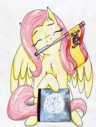 thumbnail of 1161574__safe_artist-colon-40kponyguy_derpibooru+exclusive_fluttershy_cute_eurovision+song+contest_eyes+closed_flag_mouth+hold_shyabetes_solo_spain_tra.jpg