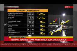 thumbnail of tsunami-nhk-report.jpg