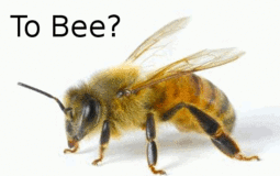 thumbnail of bee.gif