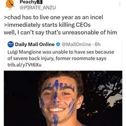 thumbnail of incel ceo killer.jpg