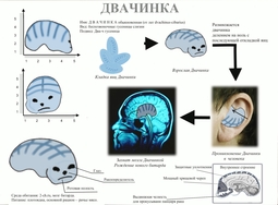 thumbnail of двачинка.jpg