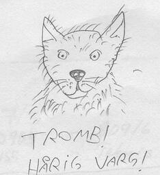 thumbnail of Smirre_stadning_mars_2019_Tromb_fuzzy_wolf.jpg