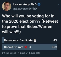 thumbnail of andy-poll-flip-kek.jpg