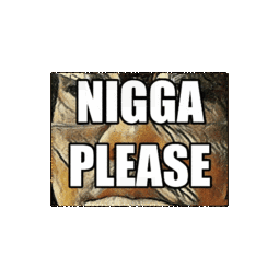 thumbnail of Nigga Please 01.gif