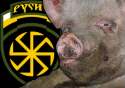 thumbnail of porkich.png