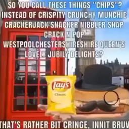thumbnail of So you call these things chips.mp4