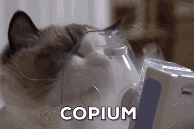 thumbnail of copium-cat.gif