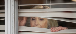 thumbnail of Hillary Blinds.png