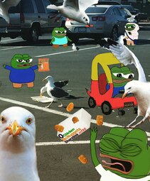 thumbnail of seagull.jpg