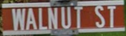thumbnail of 00n - Copy.png