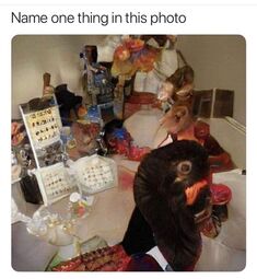 thumbnail of Name One Thing in This Photo wat.jpg