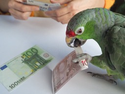 thumbnail of large-green-parrot-count-euro-money-funny-parrot-financier-large-green-parrot-count-euro-money-funny-parrot-financier-103267777[1].jpg