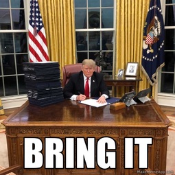 thumbnail of Bring it Trump EO.jpg